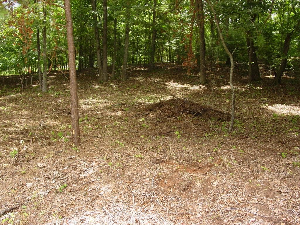 1481 Phillips Cove Drive, Hiawassee GA 30546 - Photo