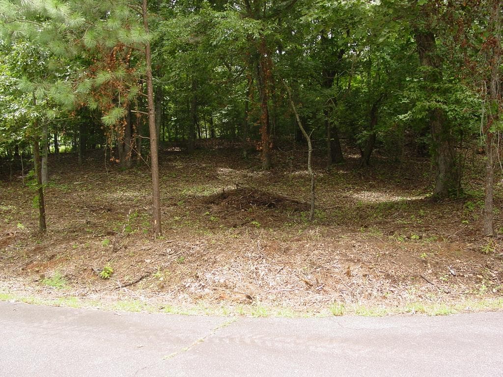 1481 Phillips Cove Drive, Hiawassee GA 30546 - Photo