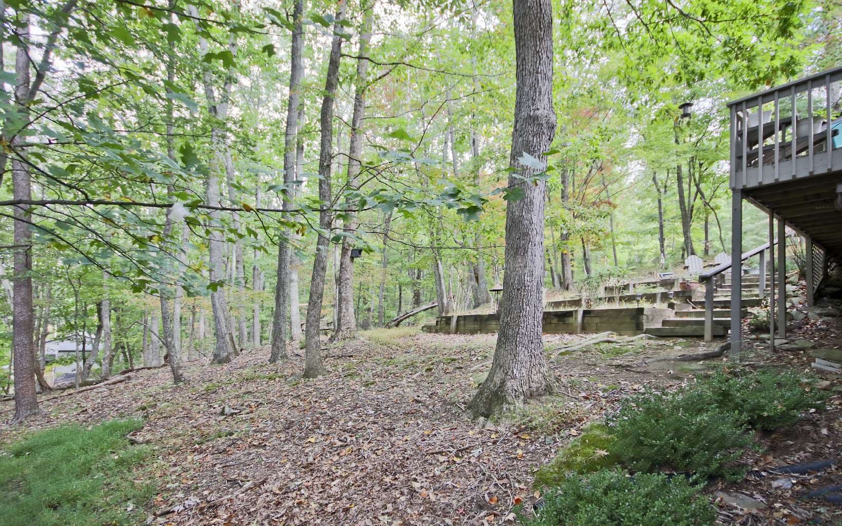 31 Fairview Court, Jasper GA 30143 - Photo