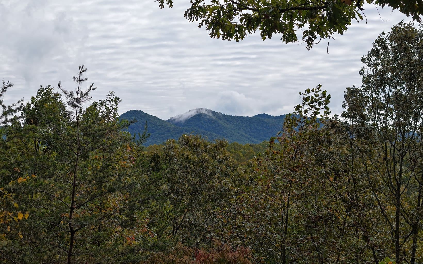 LT 14 Vista Ridge, Blairsville GA 30512 - Photo