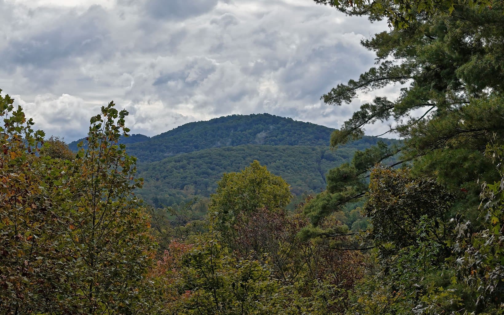 LT 14 Vista Ridge, Blairsville GA 30512 - Photo