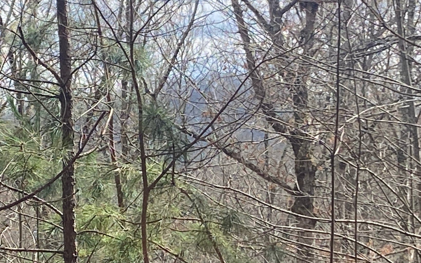 LT 47 Ralston Gap Road, Morganton GA 30560 - Photo
