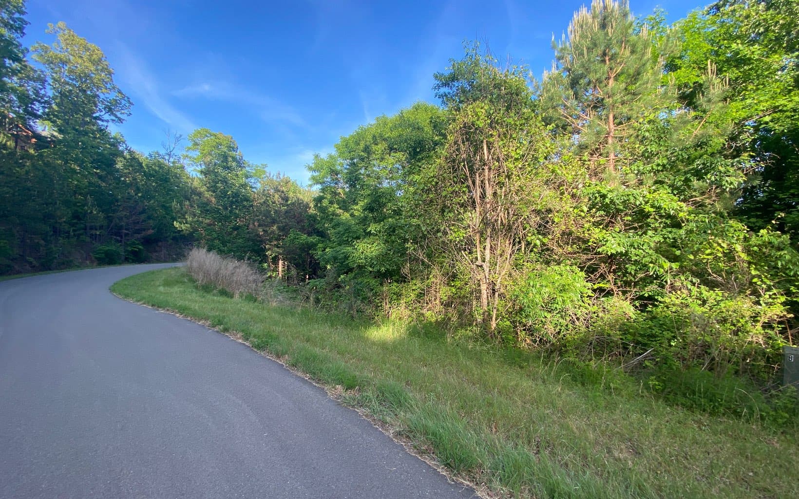 LT 47 Ralston Gap Road, Morganton GA 30560 - Photo
