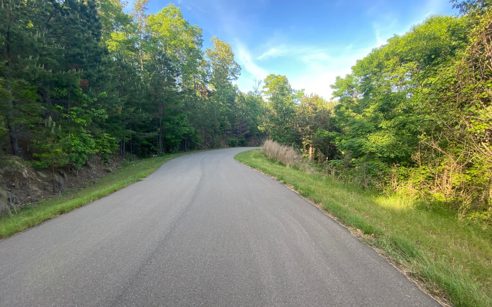 LT 47 Ralston Gap Road, Morganton GA 30560 - Photo