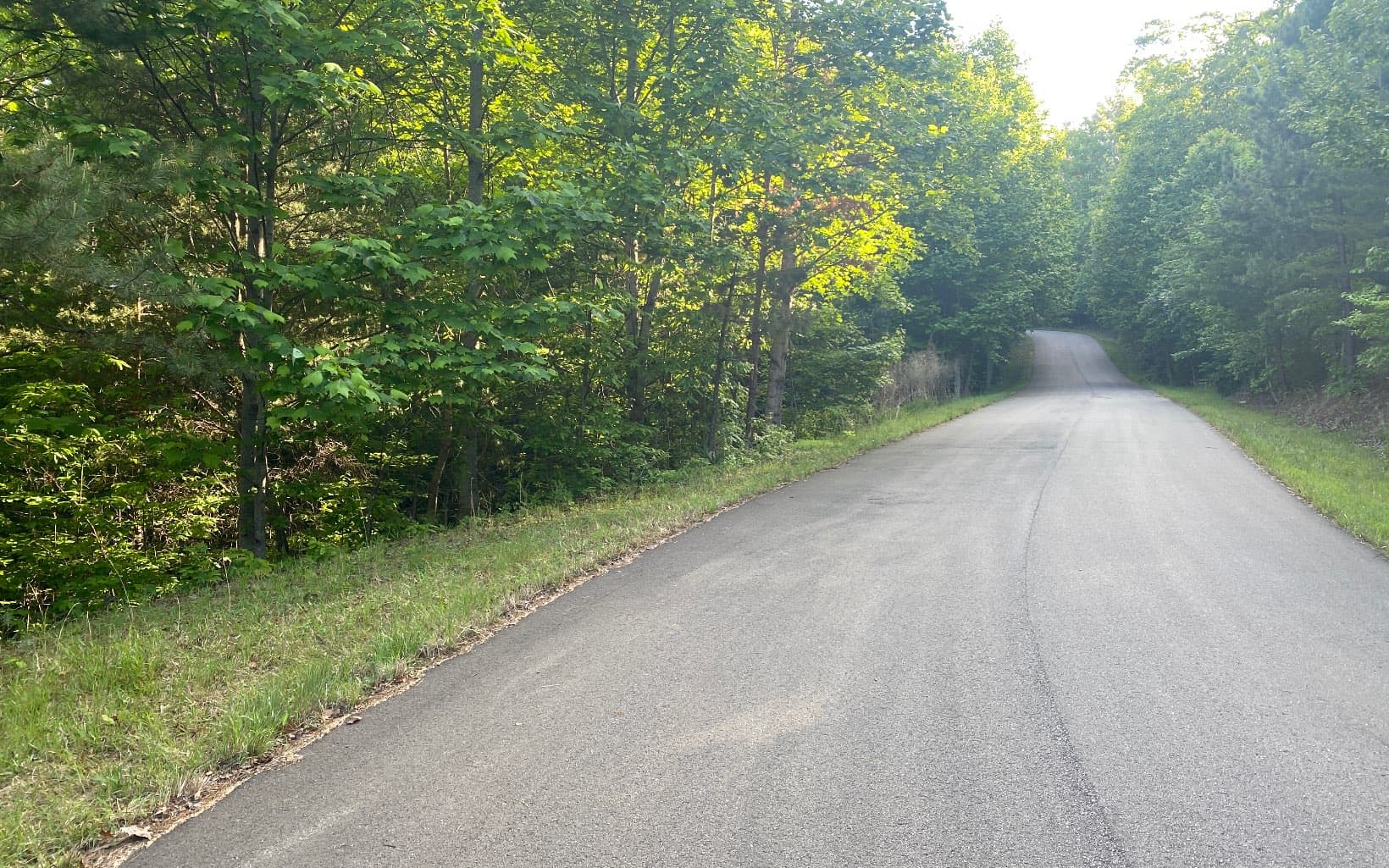 LT 47 Ralston Gap Road, Morganton GA 30560 - Photo