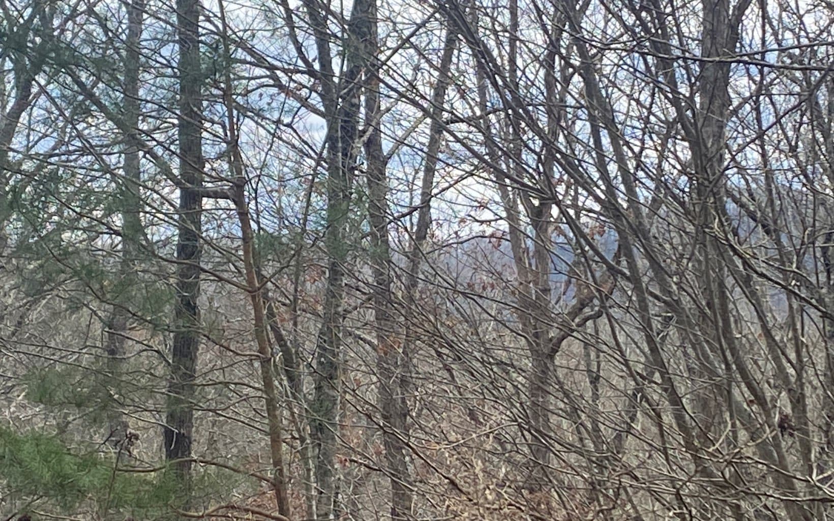 LT 47 Ralston Gap Road, Morganton GA 30560 - Primary photo