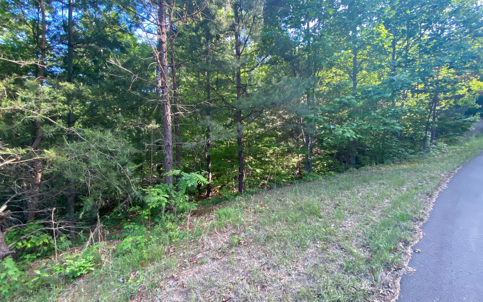 LT 47 Ralston Gap Road, Morganton GA 30560 - Photo