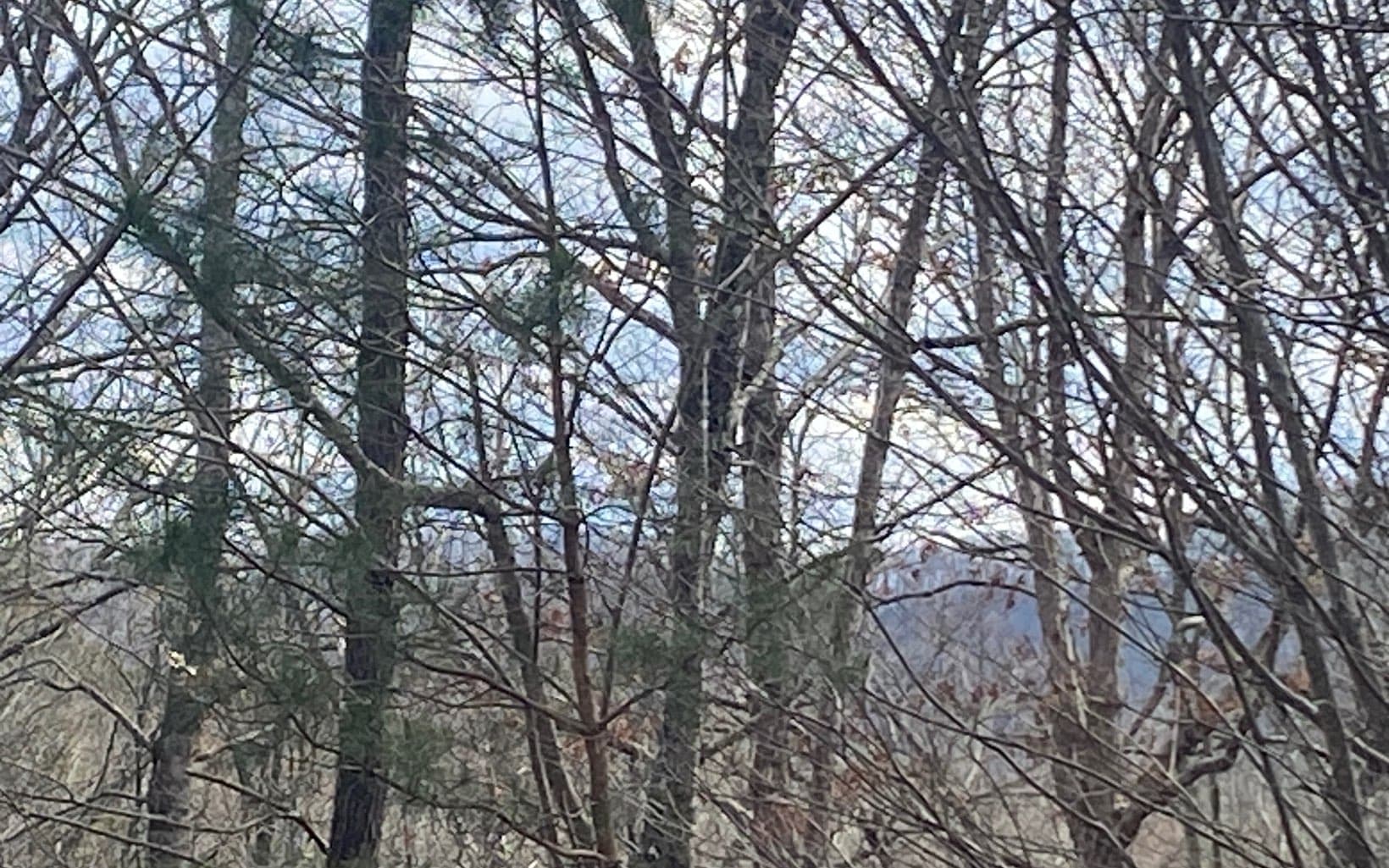 LT 47 Ralston Gap Road, Morganton GA 30560 - Photo