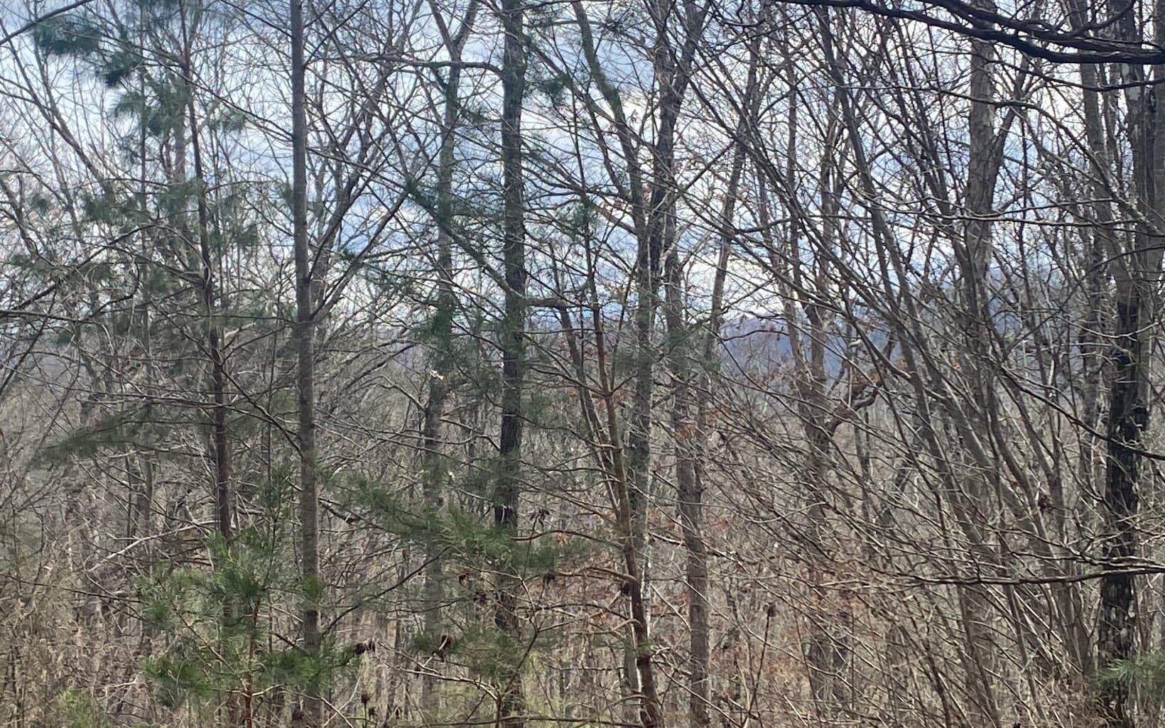 LT 47 Ralston Gap Road, Morganton GA 30560 - Photo