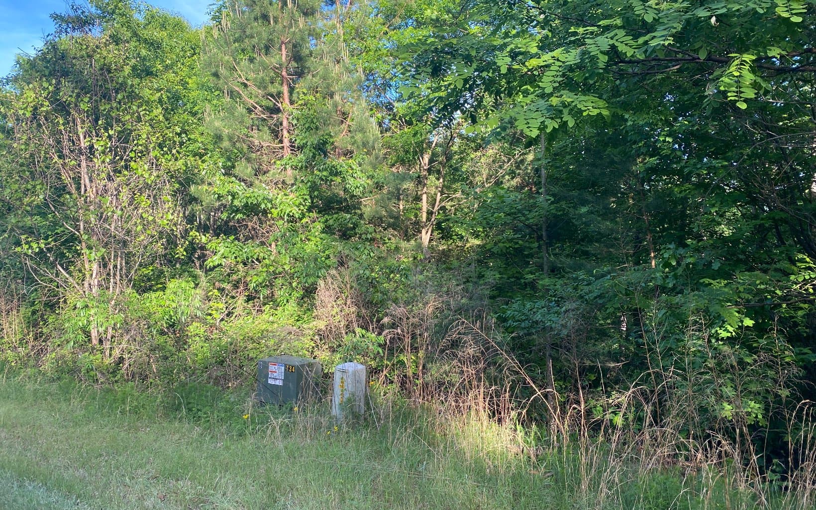 LT 47 Ralston Gap Road, Morganton GA 30560 - Photo