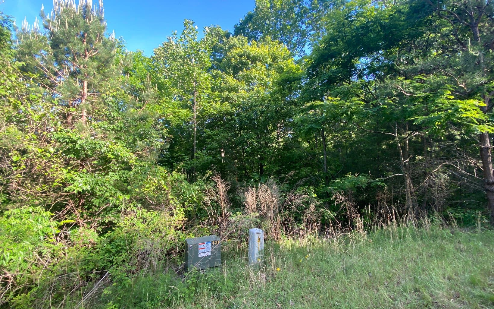 LT 47 Ralston Gap Road, Morganton GA 30560 - Photo