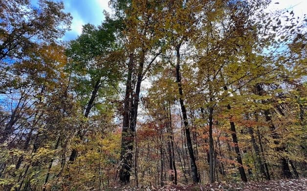 6 Morgan Creek Lot 6, Young Harris GA 30582 - Photo