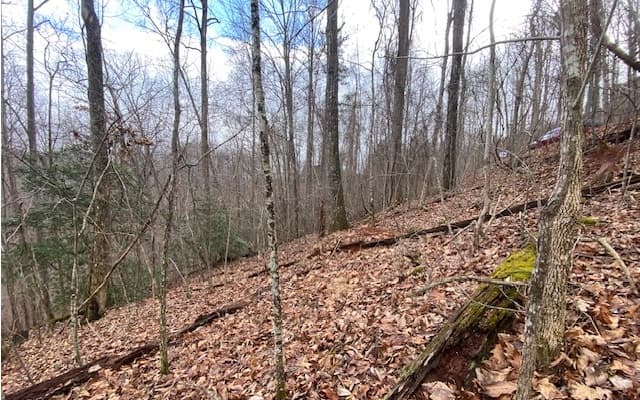 6 Morgan Creek Lot 6, Young Harris GA 30582 - Photo