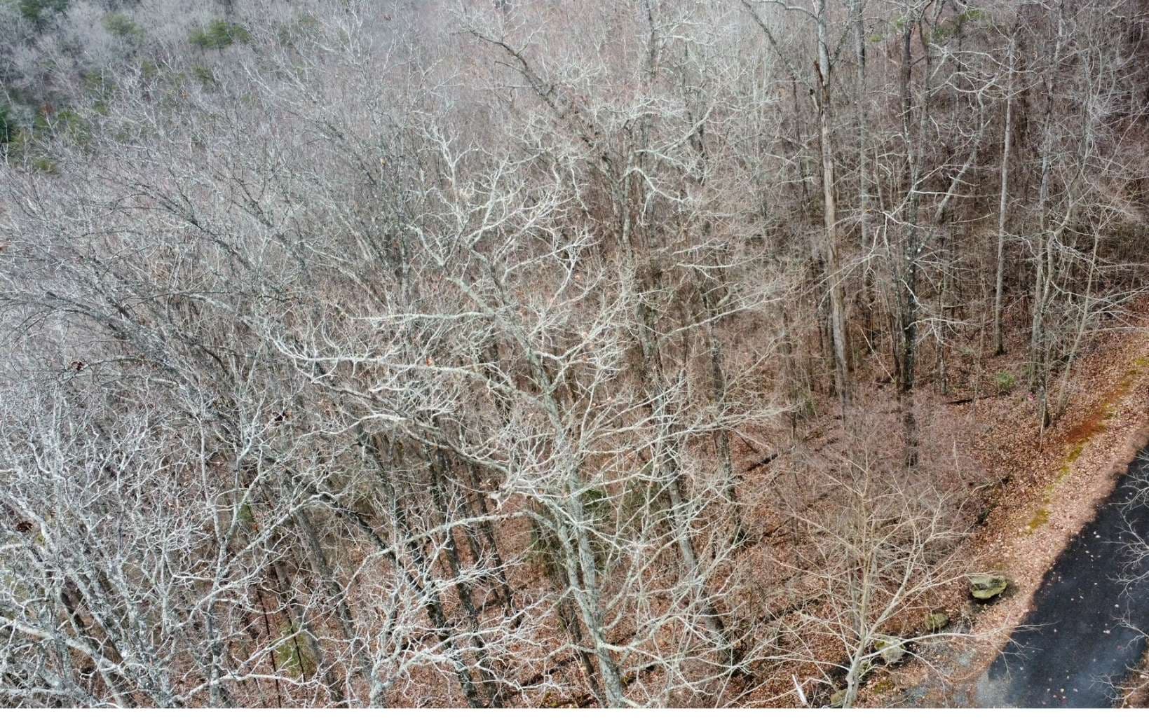 6 Morgan Creek Lot 6, Young Harris GA 30582 - Photo