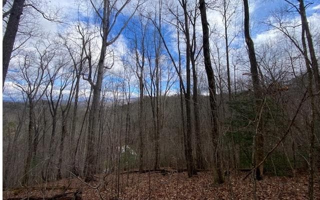 6 Morgan Creek Lot 6, Young Harris GA 30582 - Primary photo