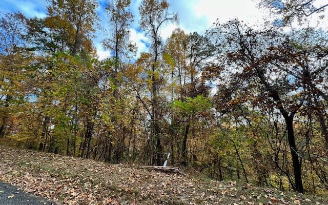 6 Morgan Creek Lot 6, Young Harris GA 30582 - Photo