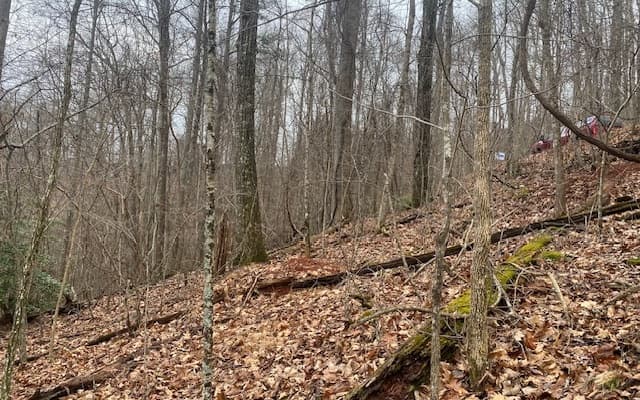 6 Morgan Creek Lot 6, Young Harris GA 30582 - Photo