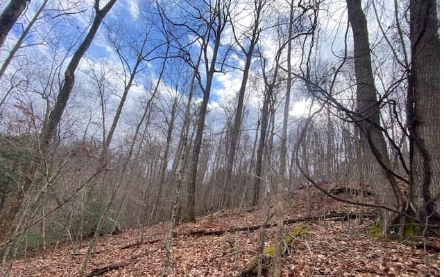 6 Morgan Creek Lot 6, Young Harris GA 30582 - Photo