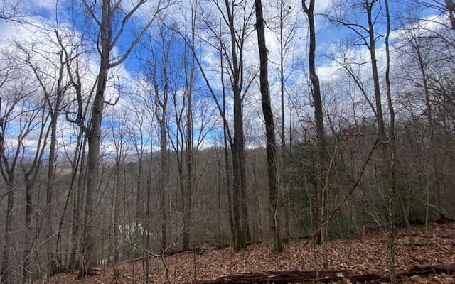 6 Morgan Creek Lot 6, Young Harris GA 30582 - Photo