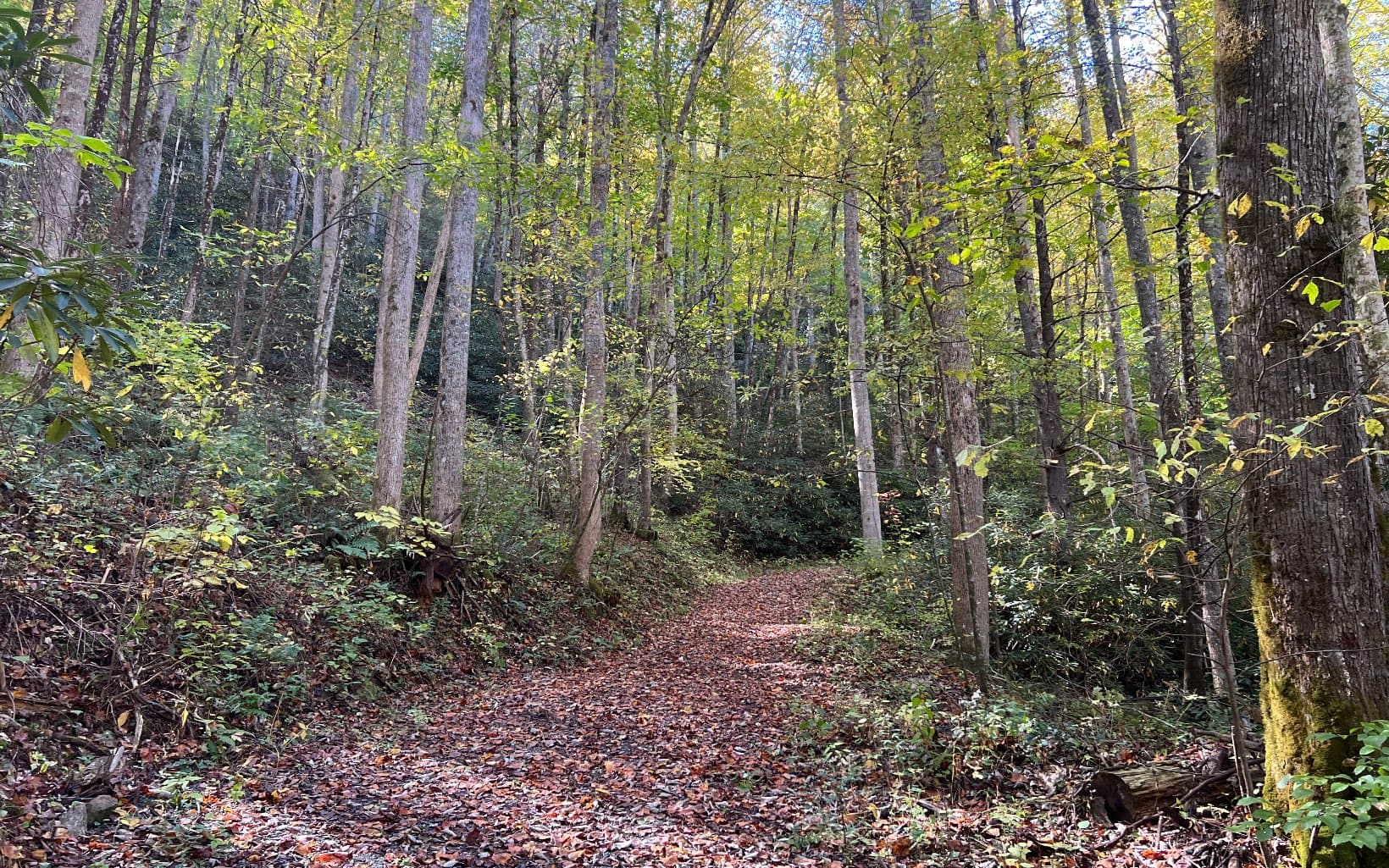 TR 1 Tusquittee Road, Hayesville NC 28904 - Photo