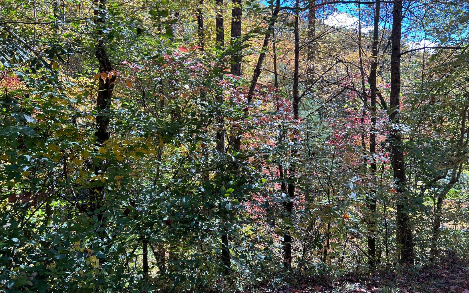 TR 1 Tusquittee Road, Hayesville NC 28904 - Photo