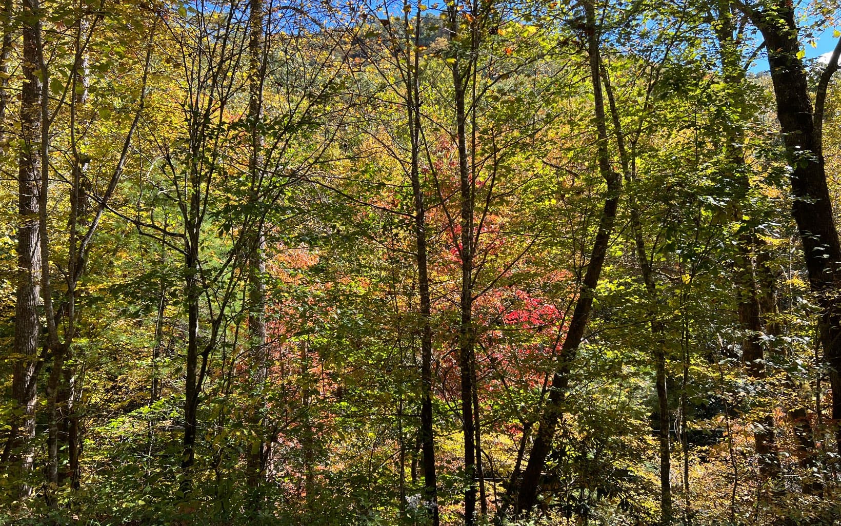 TR 1 Tusquittee Road, Hayesville NC 28904 - Photo