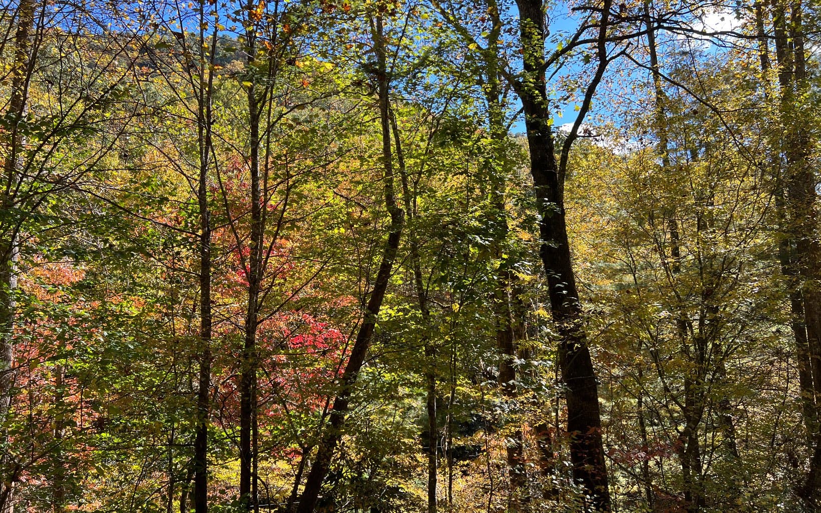 TR 1 Tusquittee Road, Hayesville NC 28904 - Photo