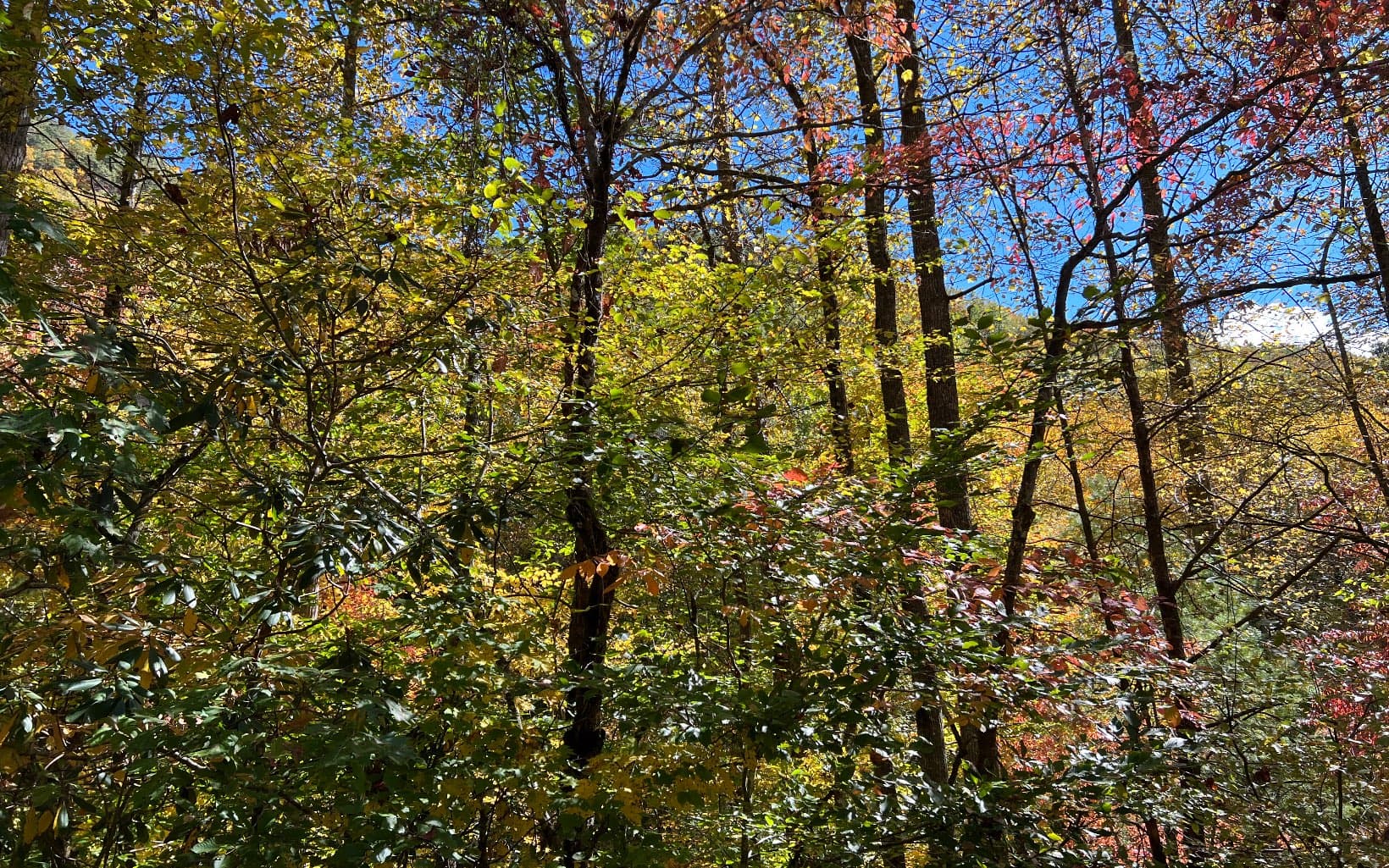 TR 1 Tusquittee Road, Hayesville NC 28904 - Photo