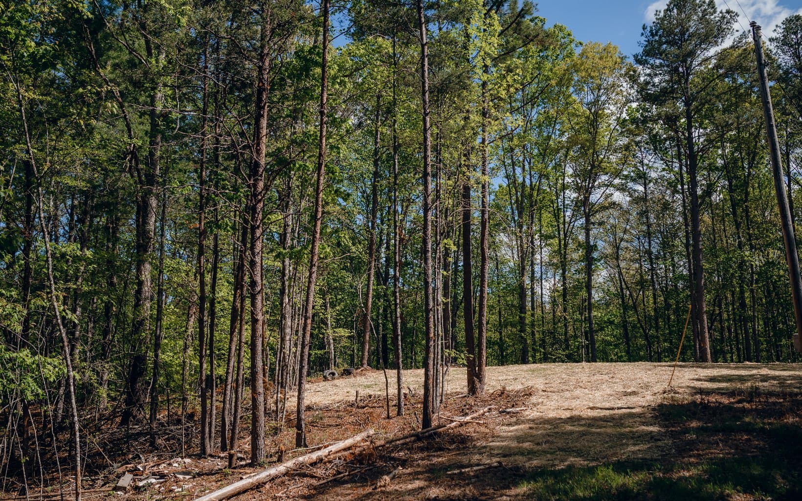 Alamo Trail, Morganton GA 30560 - Photo