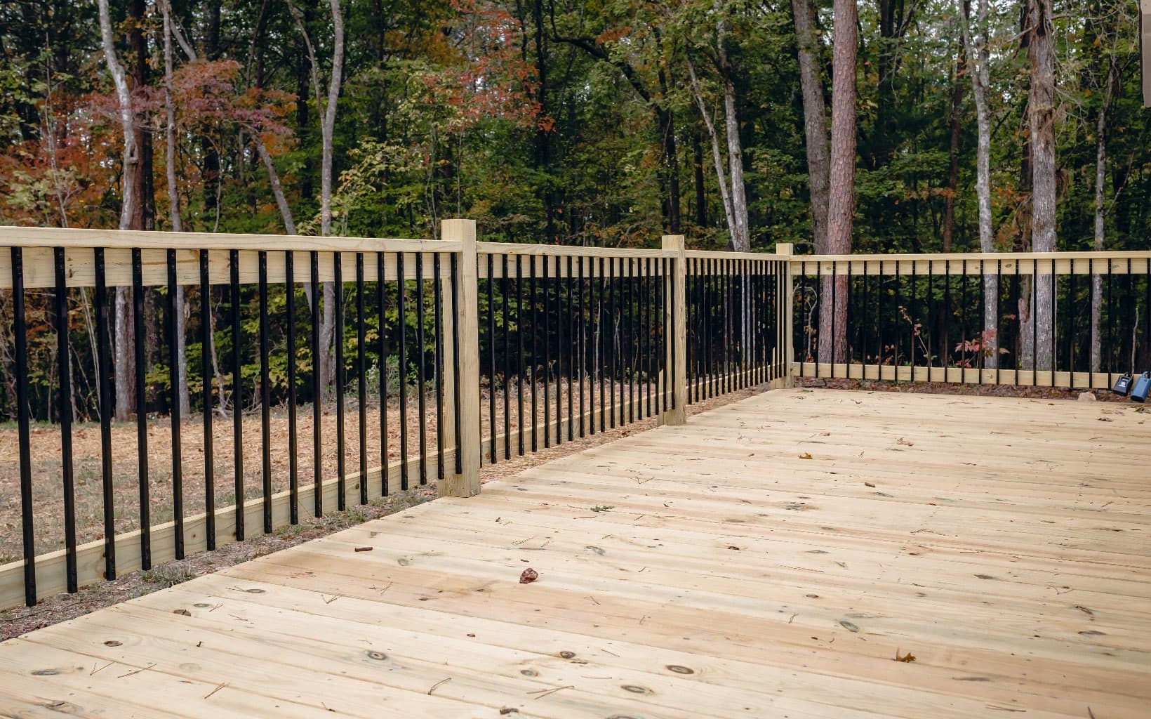Alamo Trail, Morganton GA 30560 - Photo