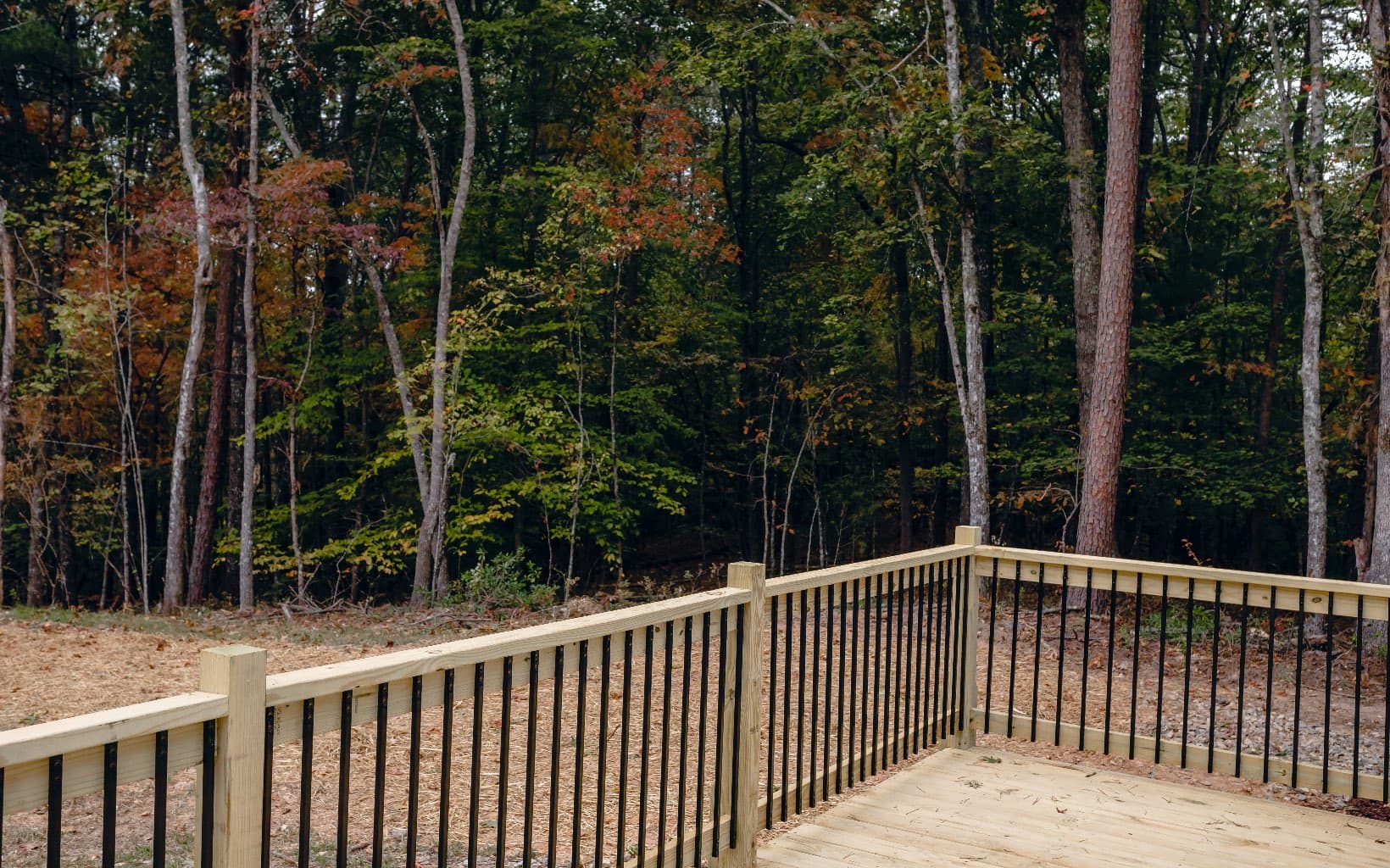 Alamo Trail, Morganton GA 30560 - Photo