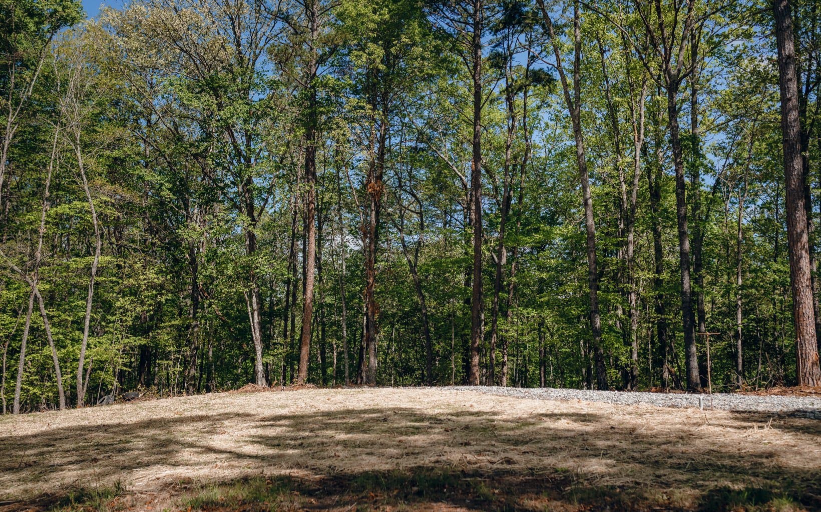 Alamo Trail, Morganton GA 30560 - Photo