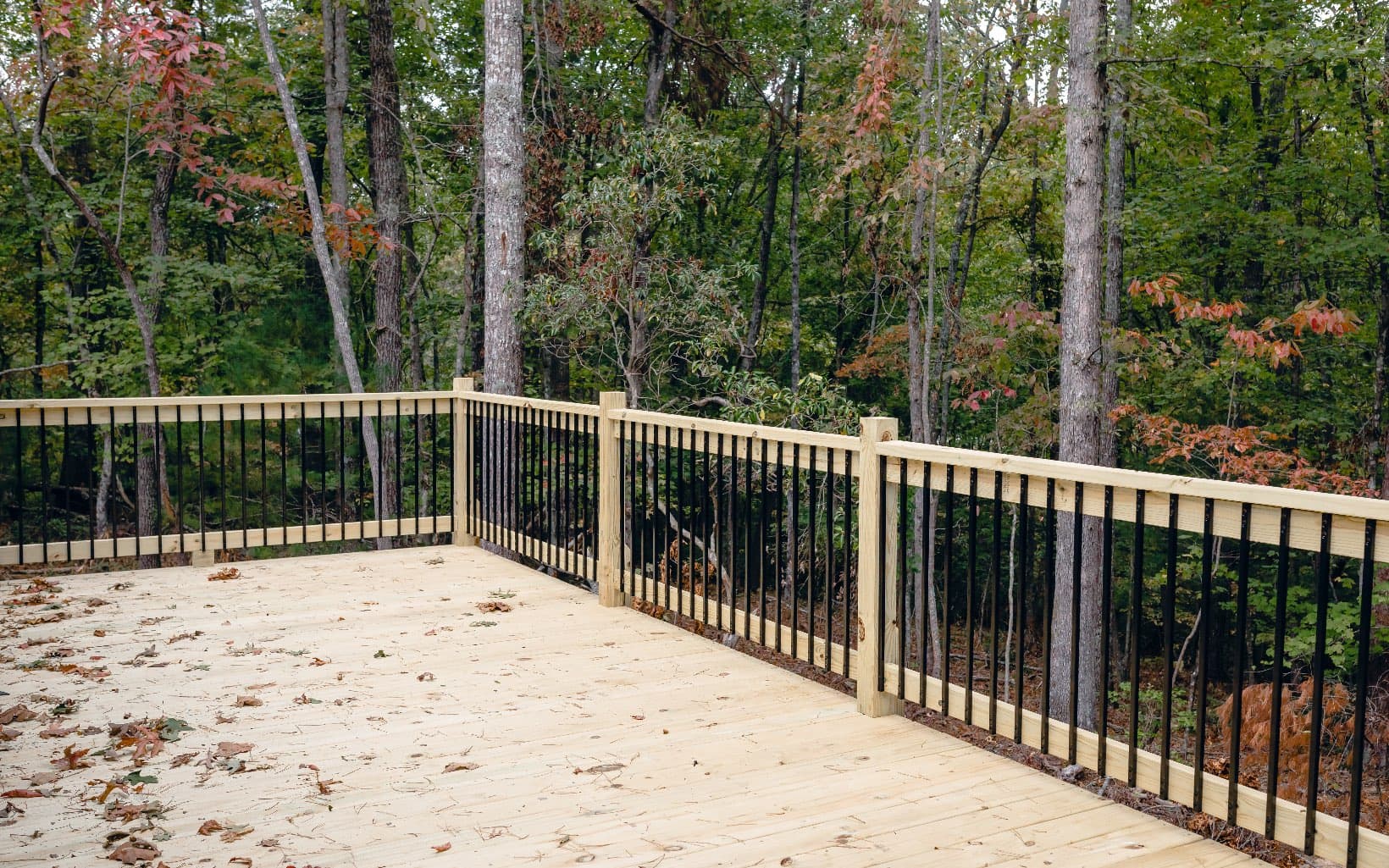 Alamo Trail, Morganton GA 30560 - Photo