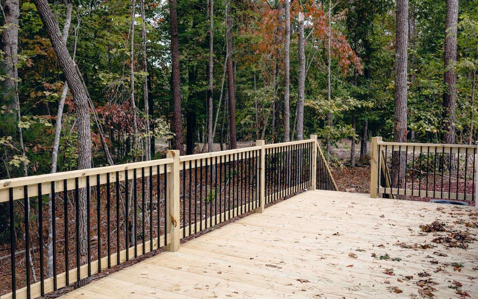 Alamo Trail, Morganton GA 30560 - Photo