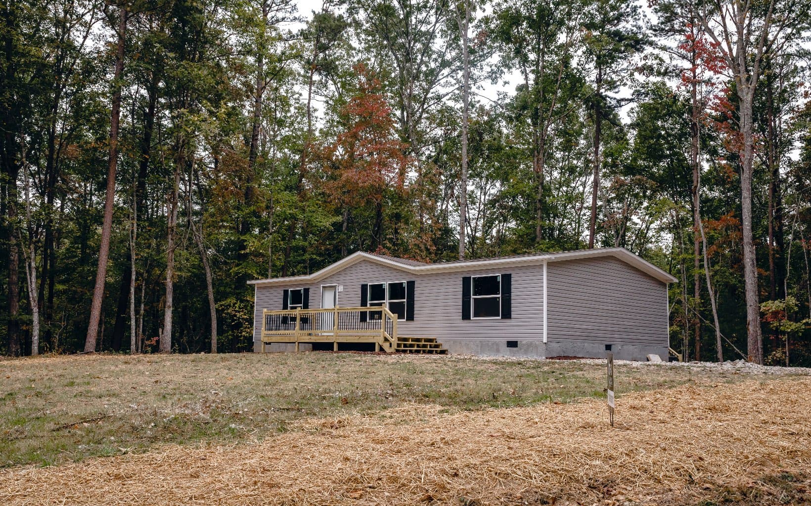 Alamo Trail, Morganton GA 30560 - Photo