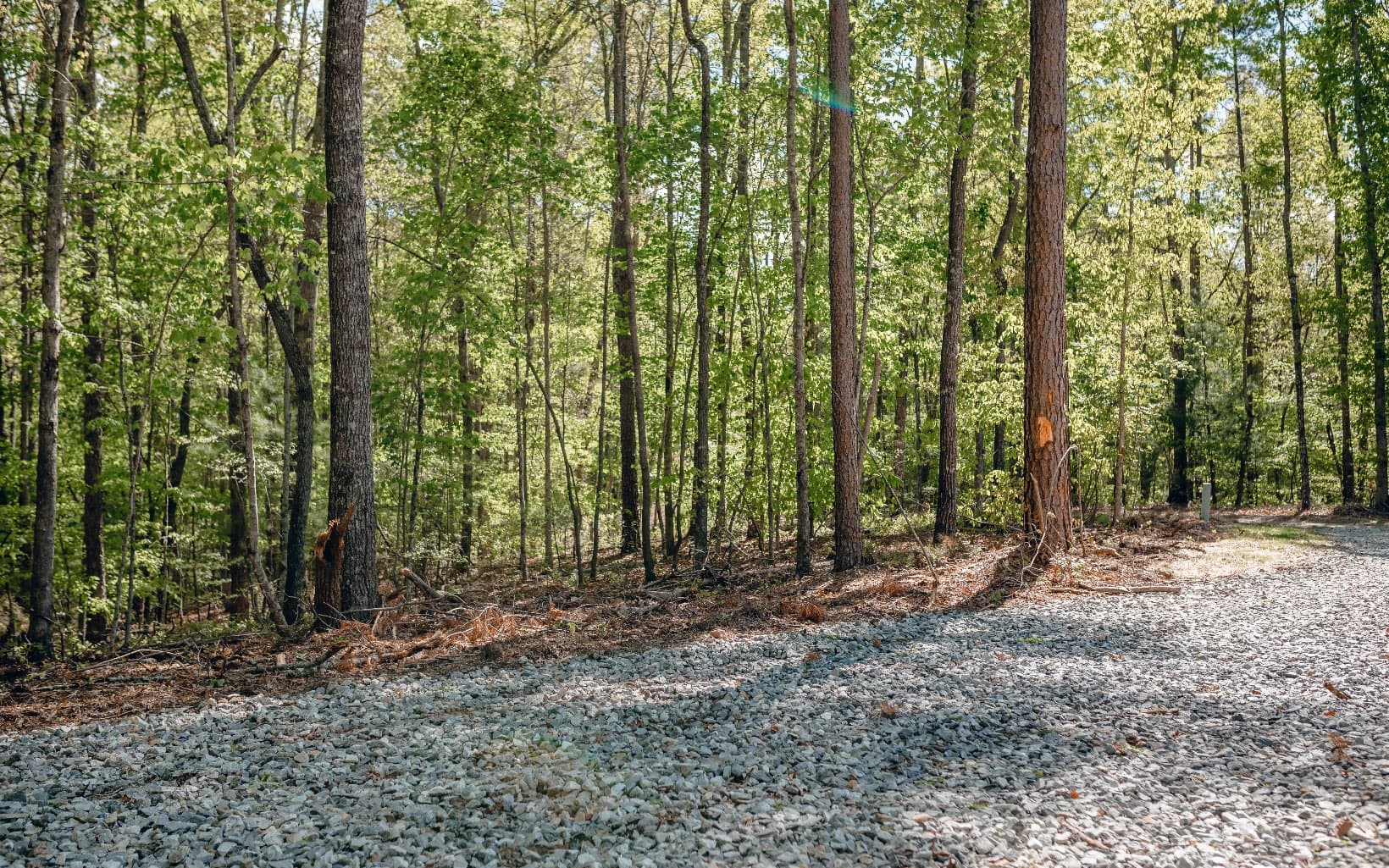 Alamo Trail, Morganton GA 30560 - Photo