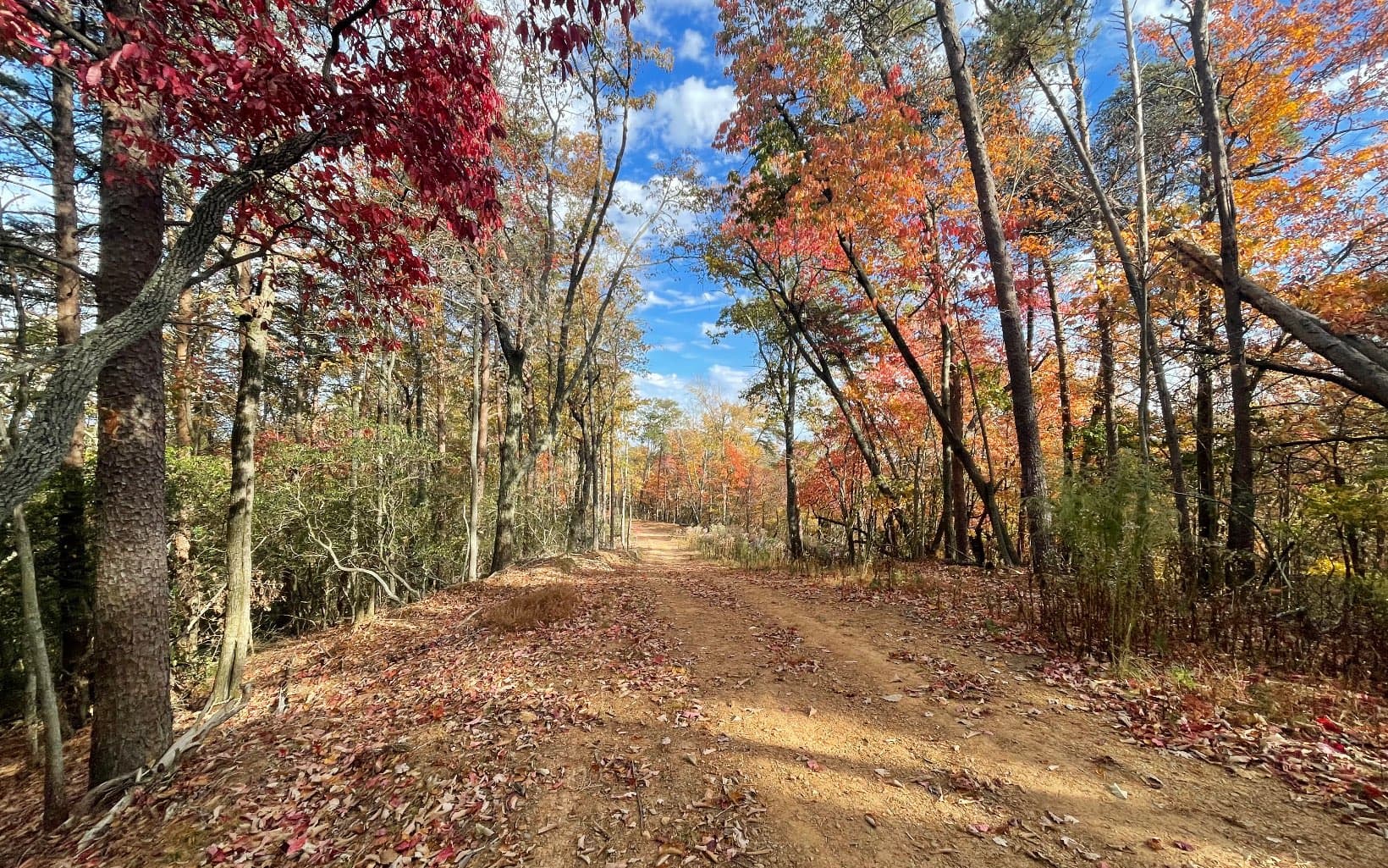 00 Firetower Road, Jasper GA 30143 - Photo