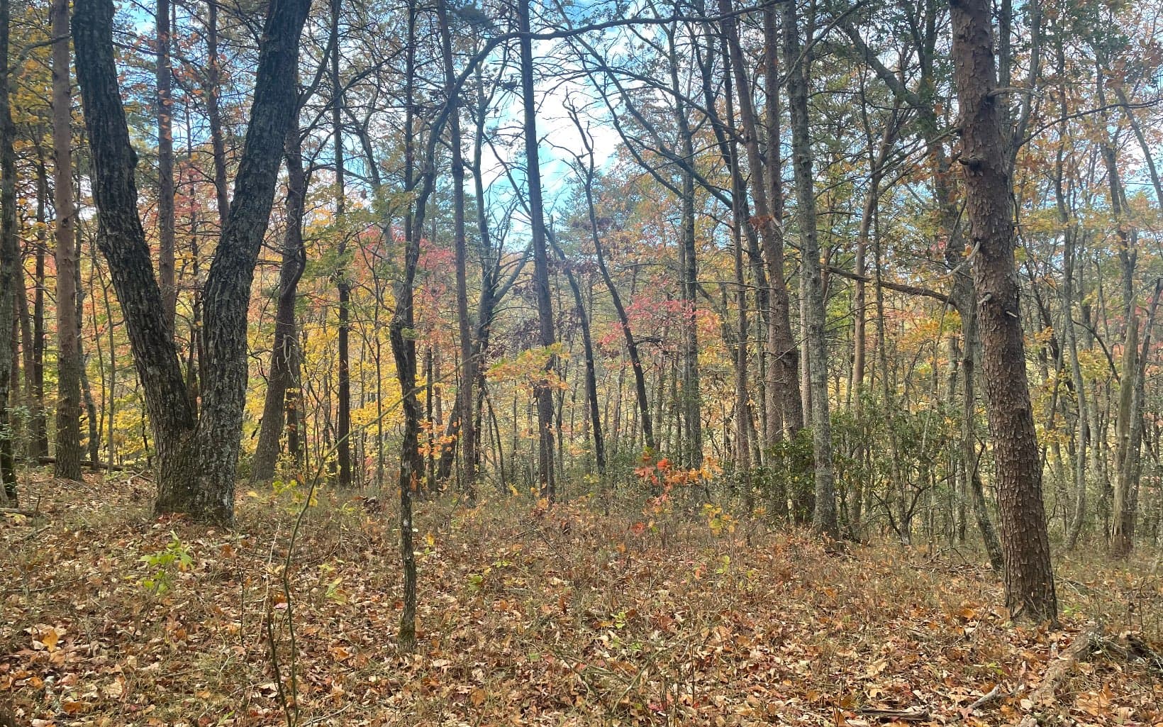 00 Firetower Road, Jasper GA 30143 - Photo