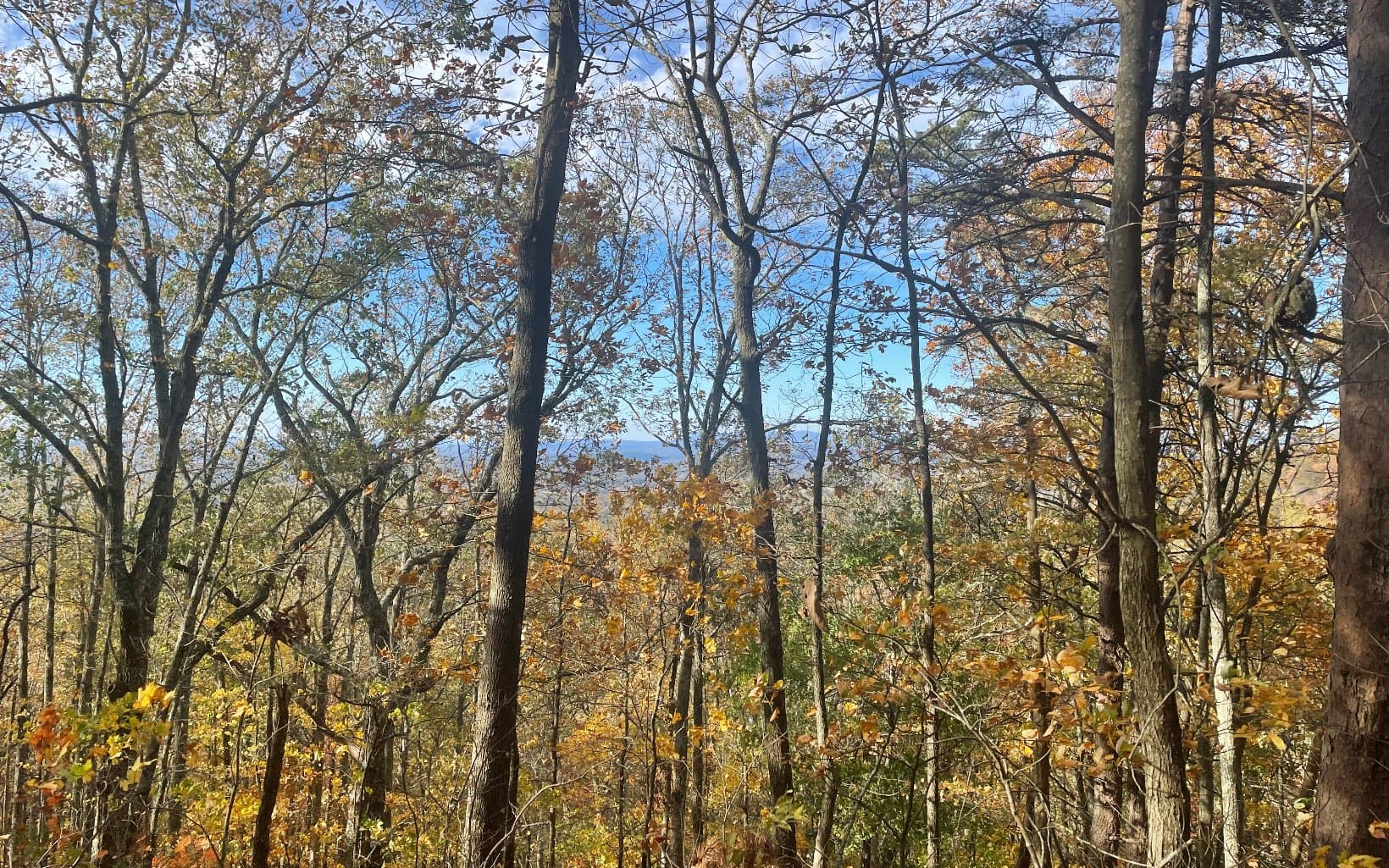 00 Firetower Road, Jasper GA 30143 - Photo