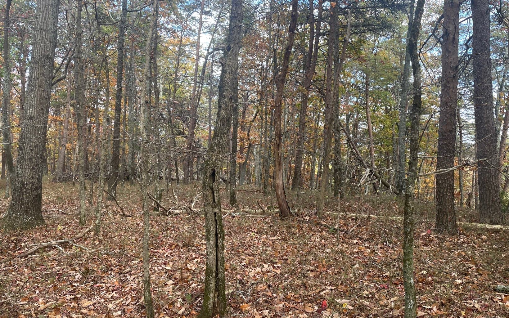 00 Firetower Road, Jasper GA 30143 - Photo