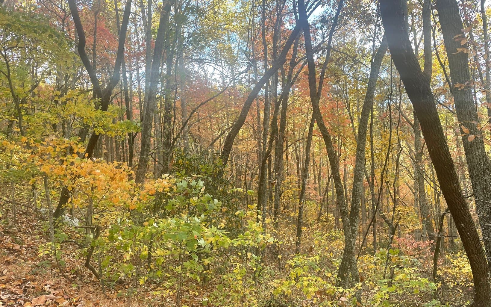 00 Firetower Road, Jasper GA 30143 - Photo