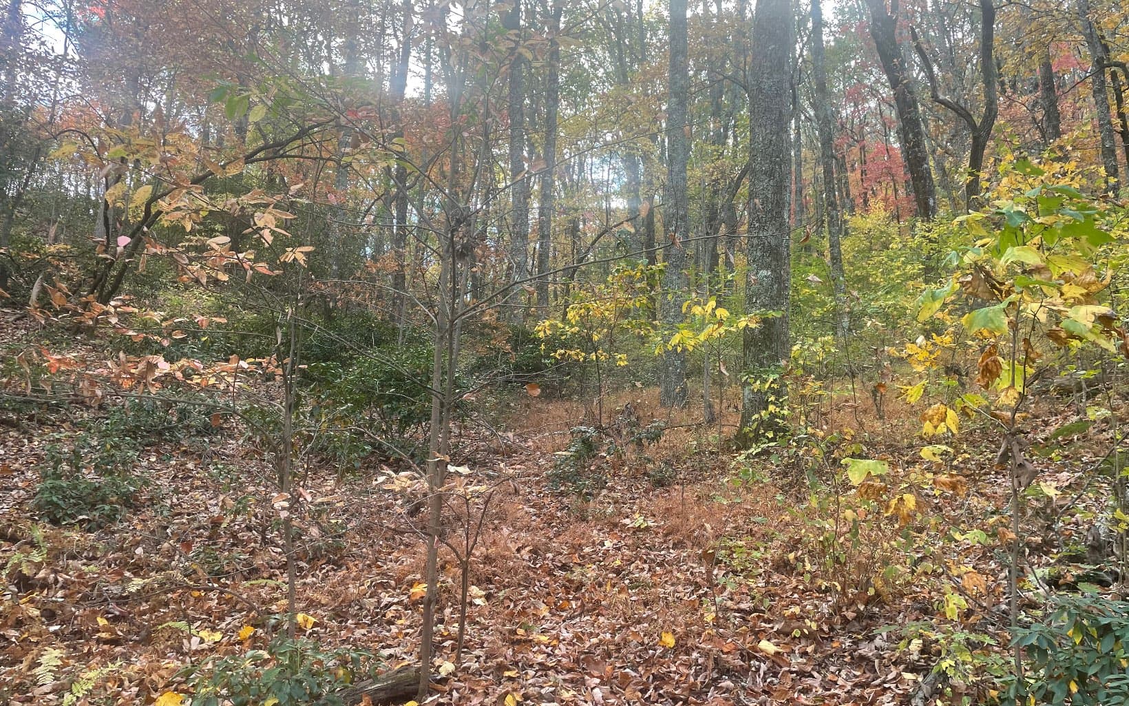 00 Firetower Road, Jasper GA 30143 - Photo