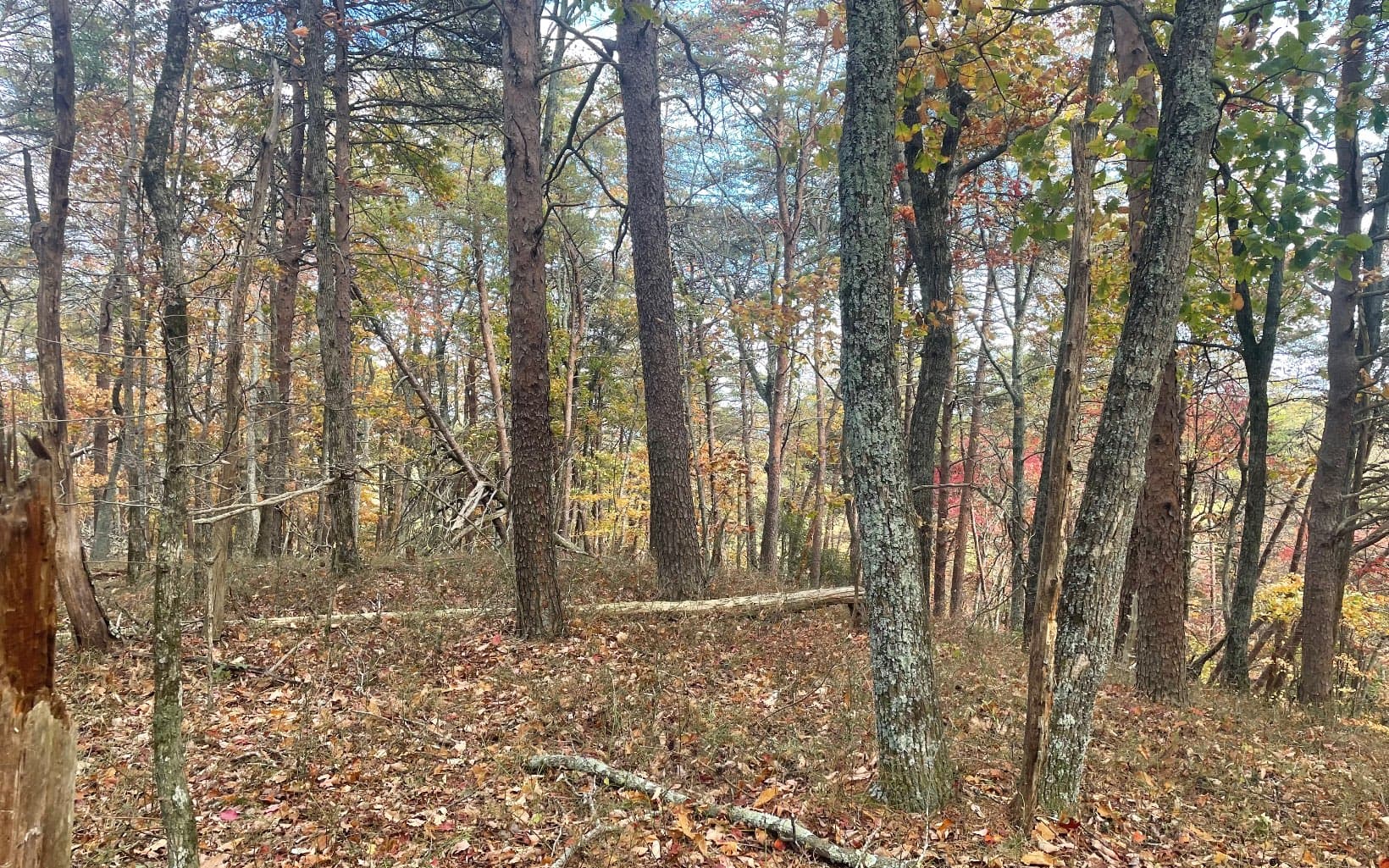 00 Firetower Road, Jasper GA 30143 - Photo