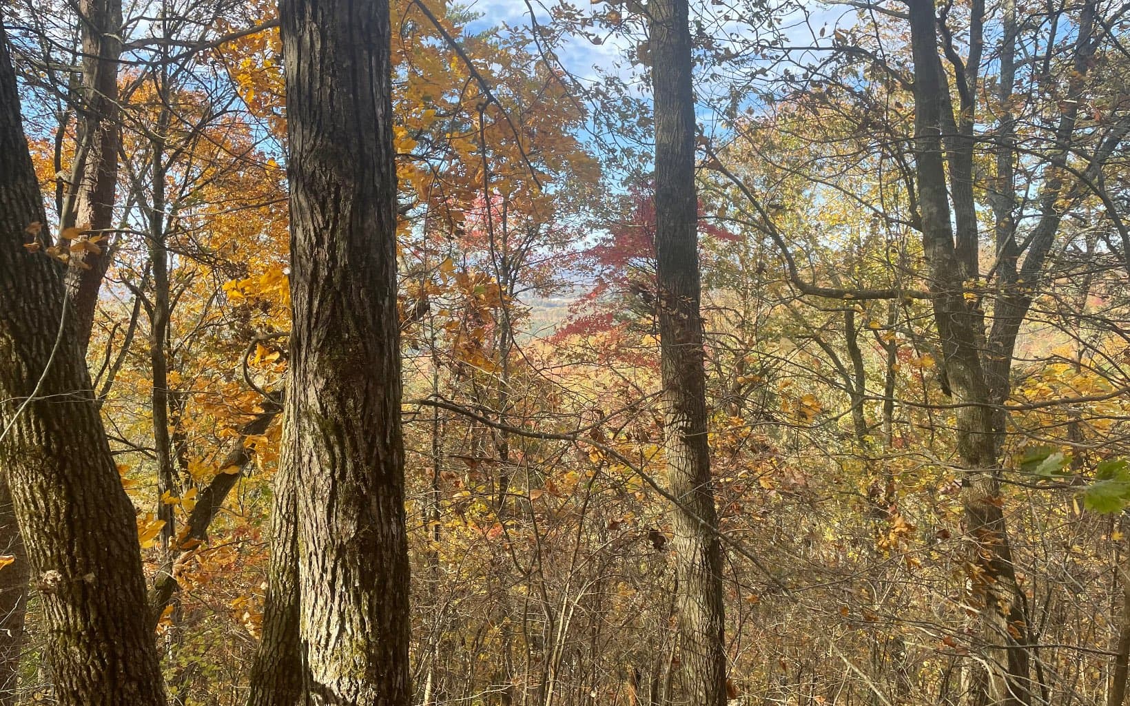00 Firetower Road, Jasper GA 30143 - Photo