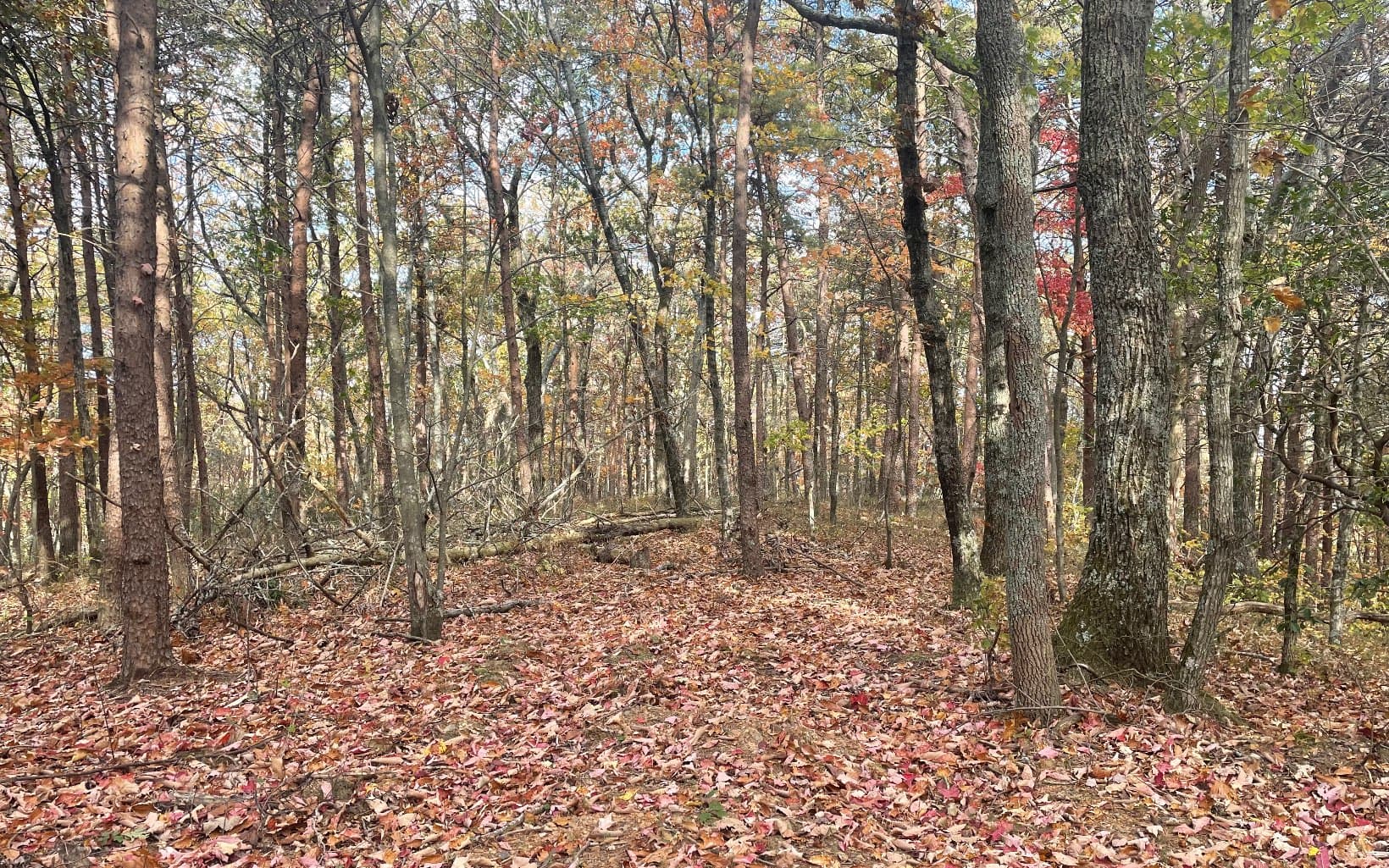 00 Firetower Road, Jasper GA 30143 - Photo