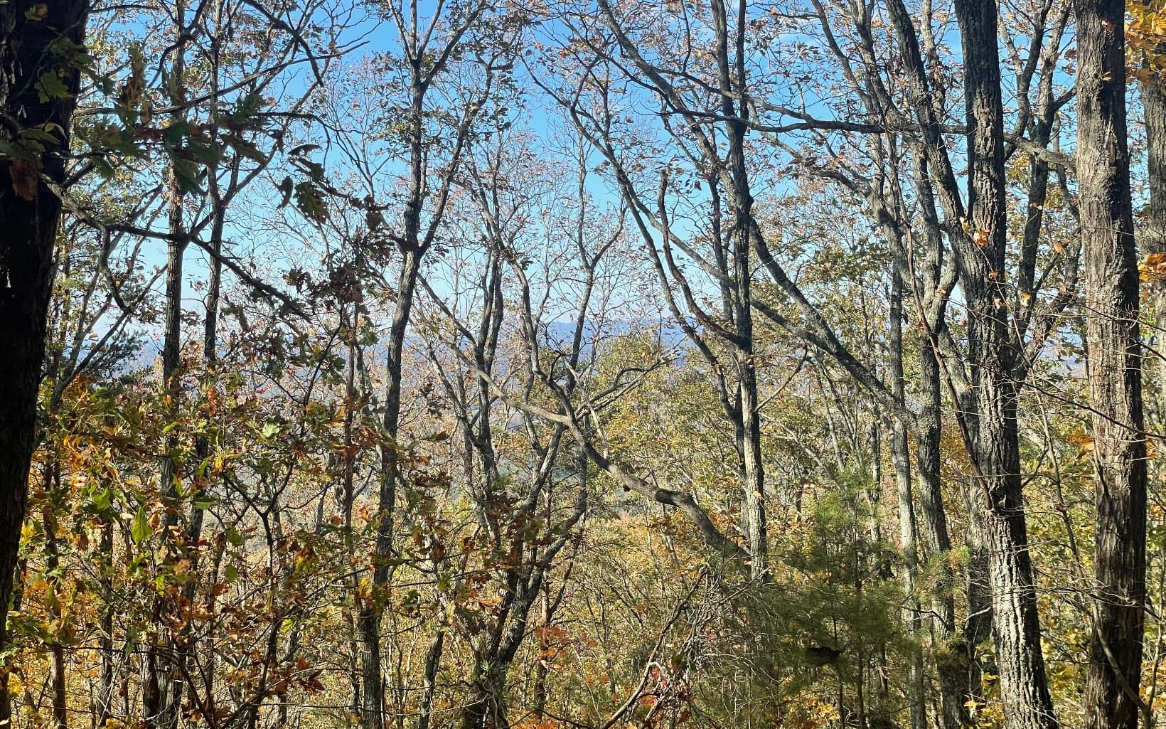 00 Firetower Road, Jasper GA 30143 - Photo