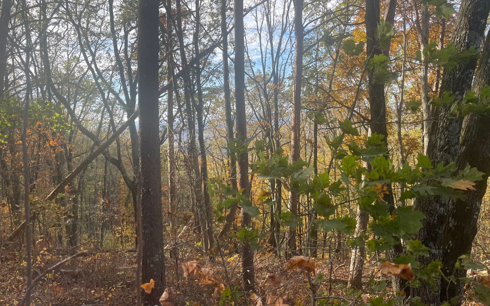 00 Firetower Road, Jasper GA 30143 - Photo