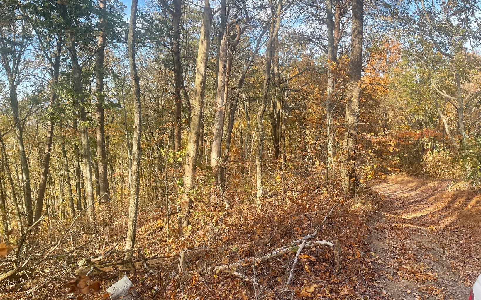 00 Firetower Road, Jasper GA 30143 - Photo
