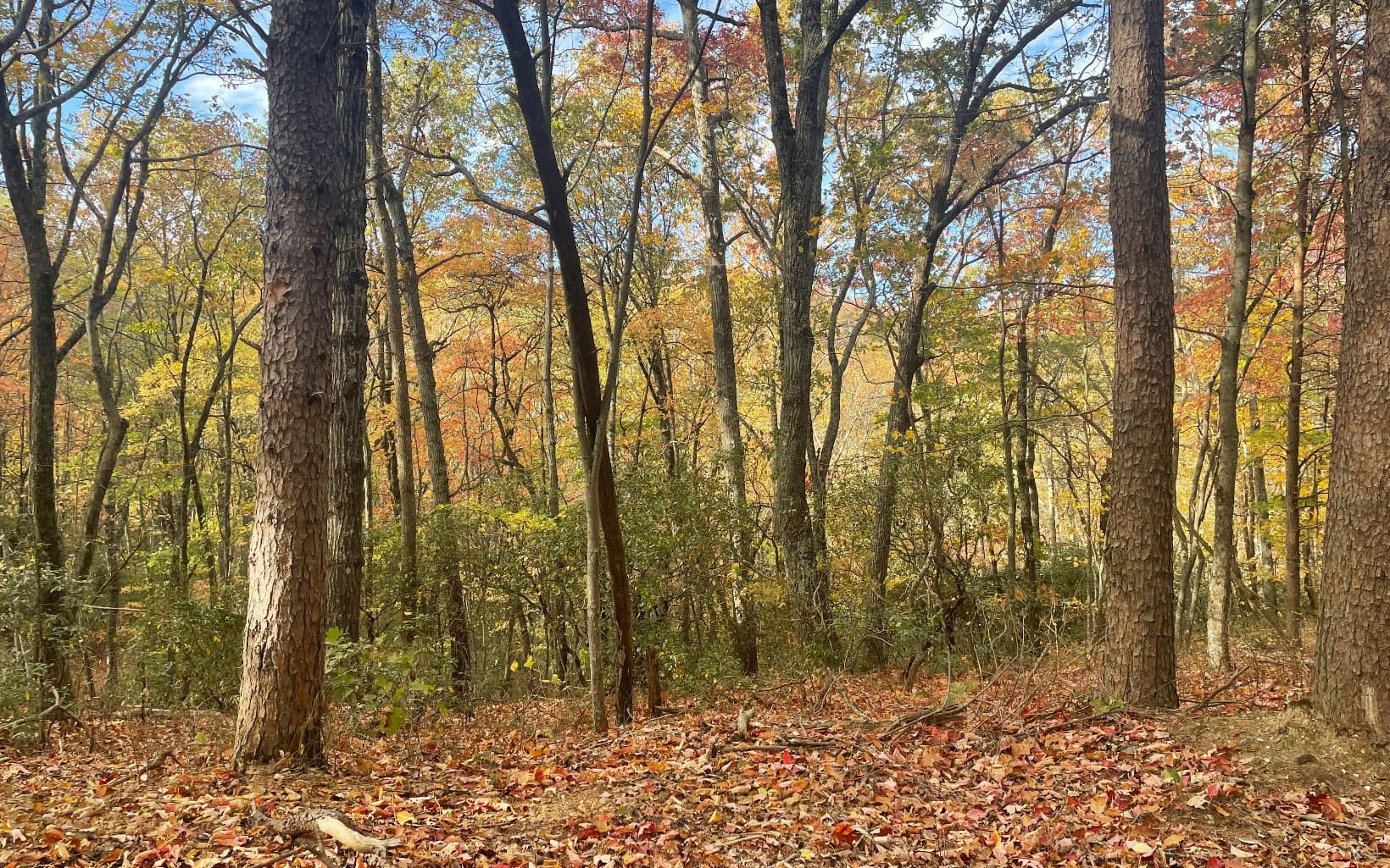 00 Firetower Road, Jasper GA 30143 - Photo