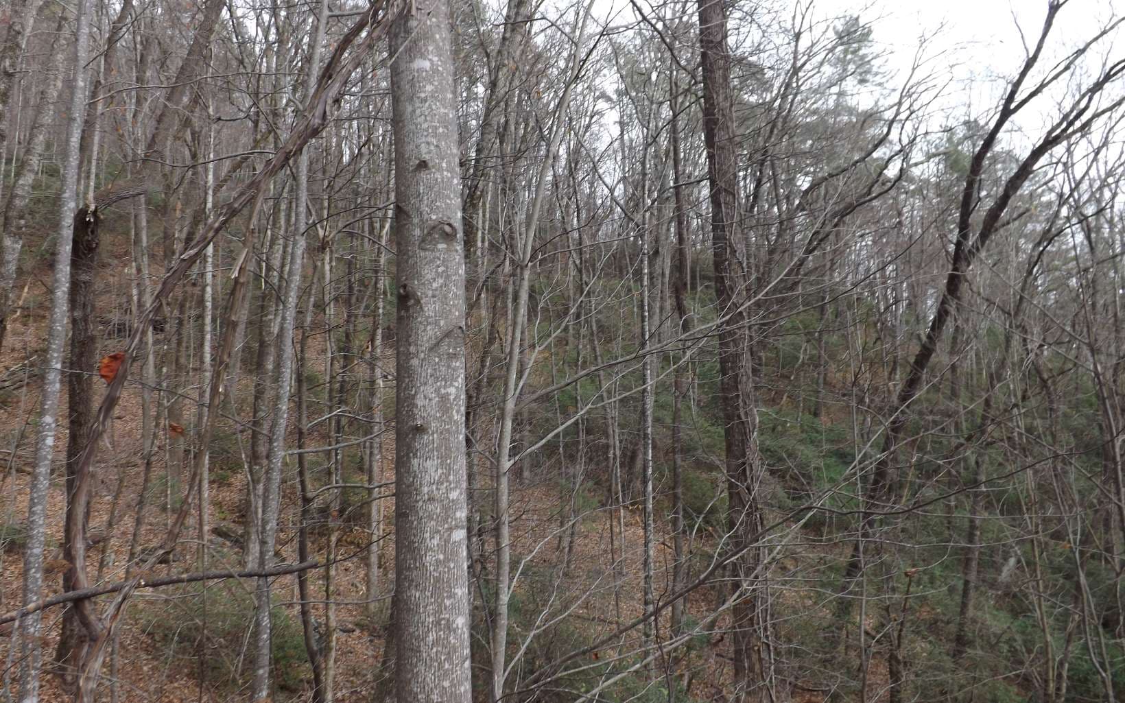 Eastview Eastview Lane- Lot M, Clayton GA 30525 - Photo